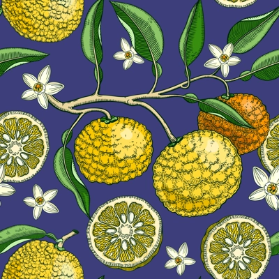 Hand drawn yuzu background design. Vintage citrus branches, flowers, leaves whole fruit, cut half piece sketches. Seamless healthy food pattern. Exotic plant illustration for print